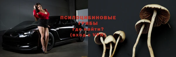 спиды Магадан